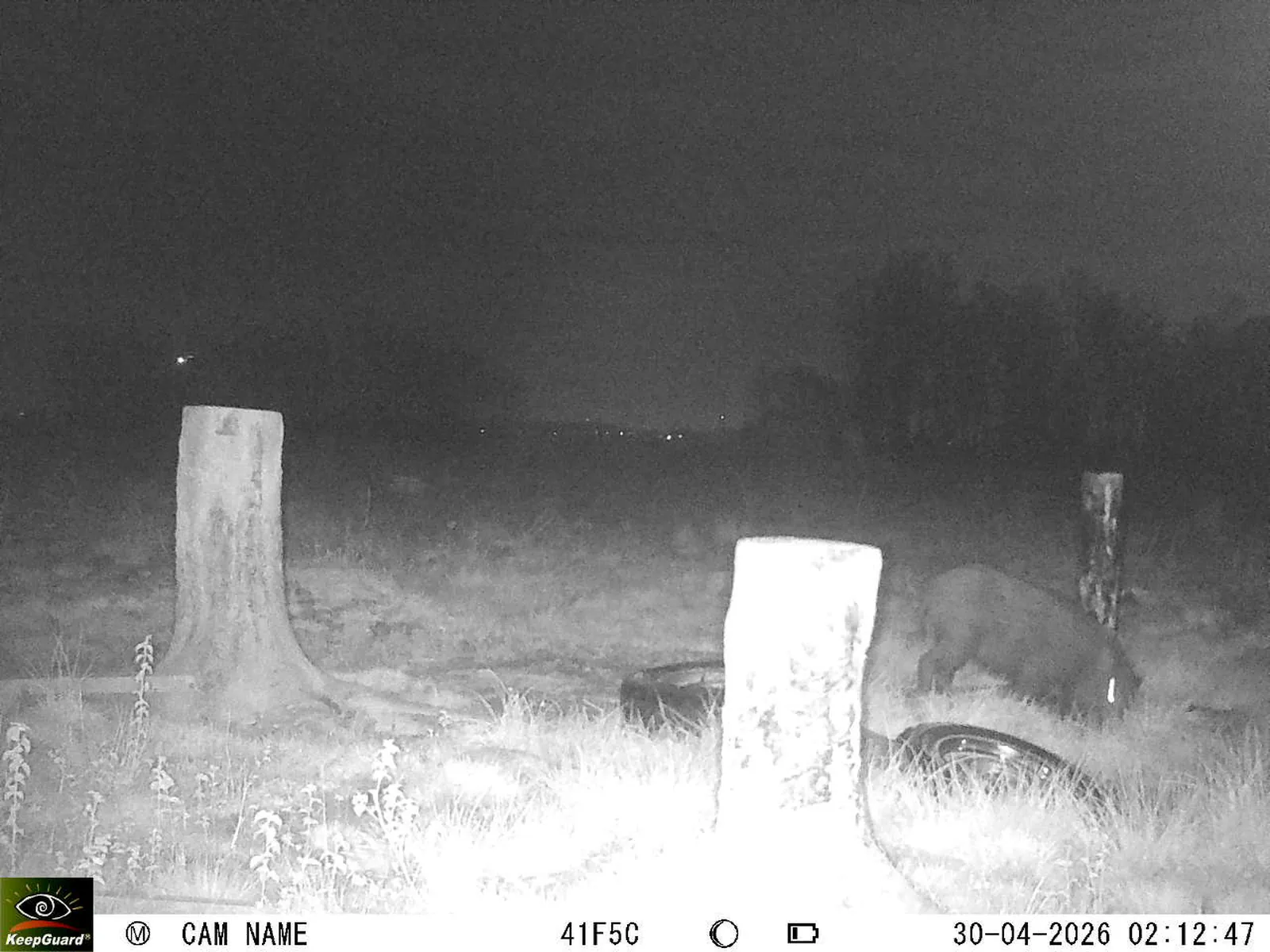 Bild: 1777508244045657417_04300796.webp