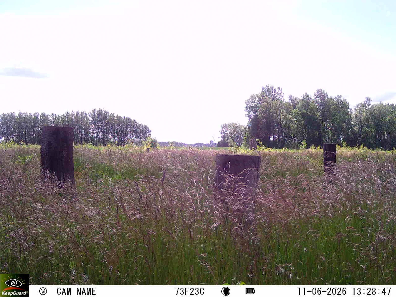 Bild: 1781177619324412338_06110070.webp