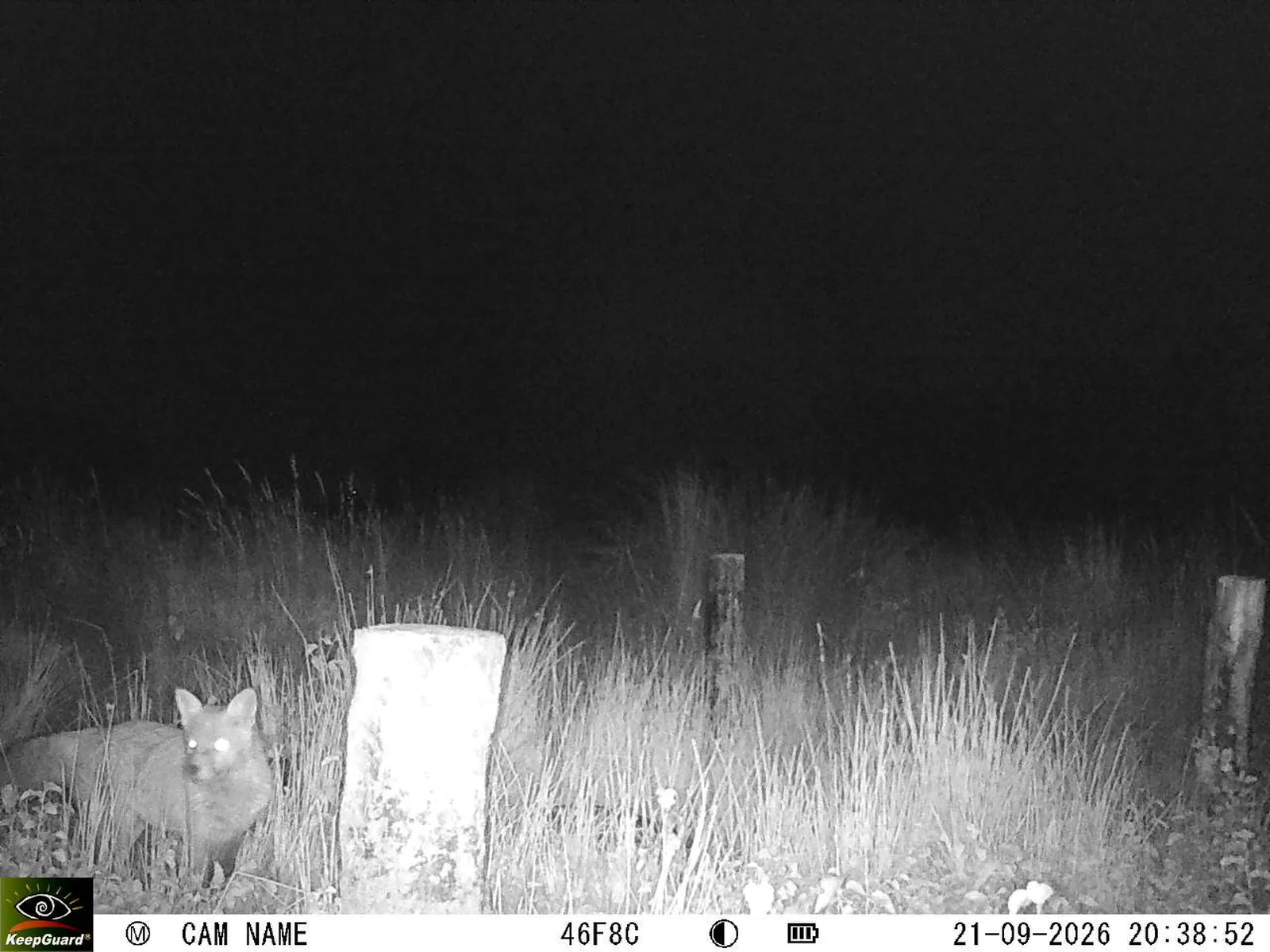 Bild: 1790016241892908085_09210077.webp