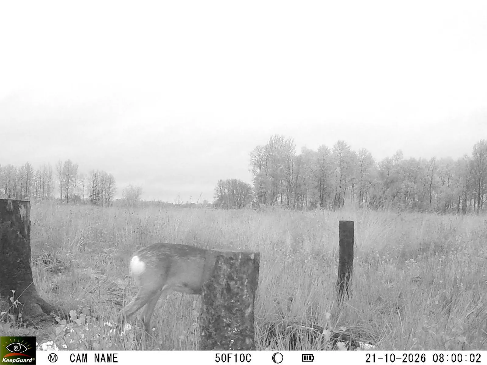 Bild: 1792562726717700936_10210243.webp